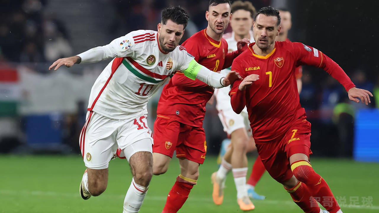 瑞士队在国际比赛中迎来胜利的喜悦 瑞士队在国际比赛中迎来胜利的喜悦