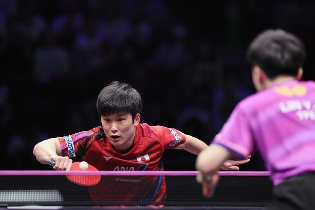 瑞典队逆转德国队，张本智和状态火热