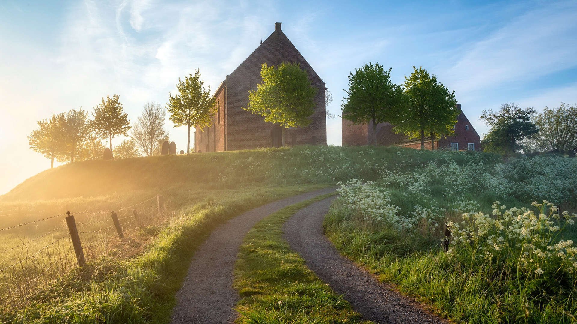 两个战场，一种意志，贝林厄姆在德甲封王与日本足球的战术革命