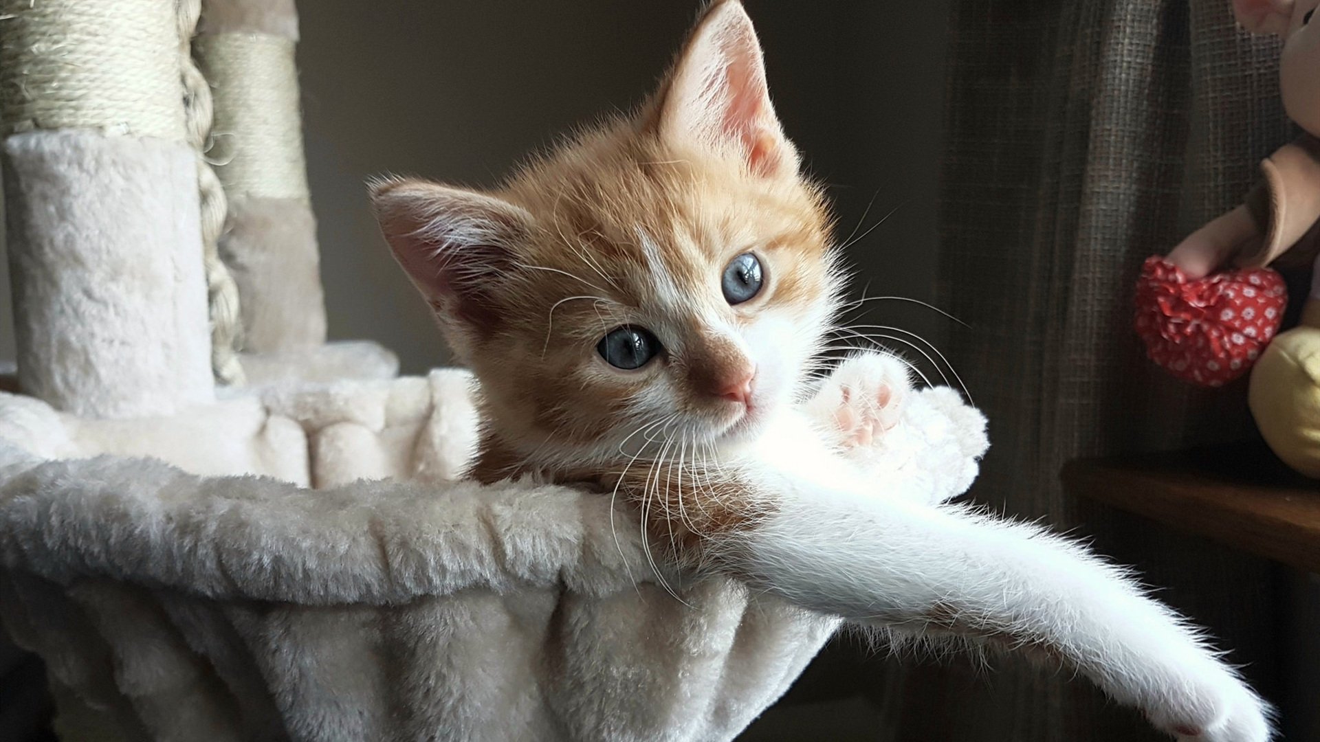 唯一性的双重奏，当1978年的苏格兰精神在2024年福登脚下复活