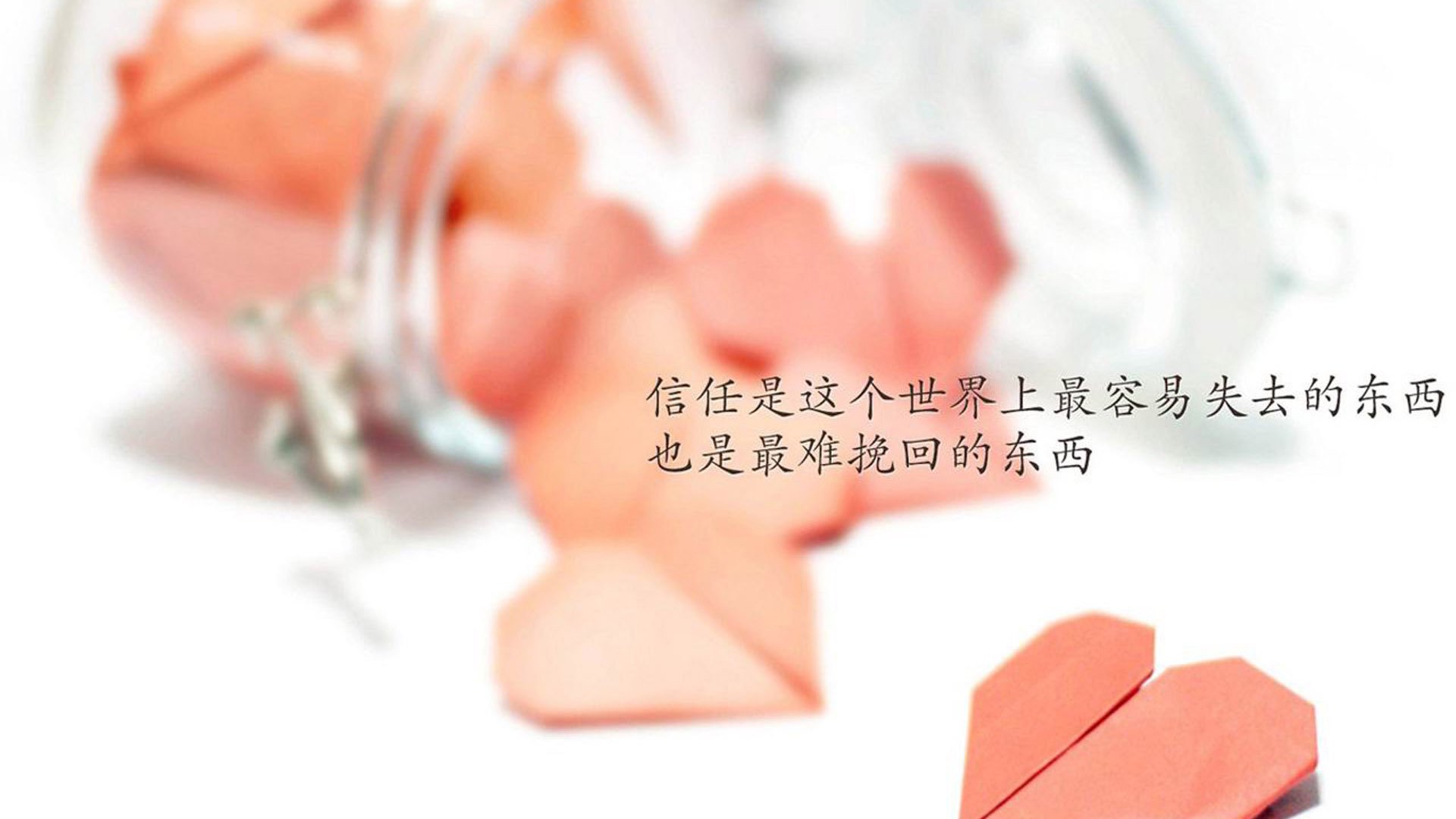 暗流与权杖,美国女足如何用无形之手扼住荷兰命运的脉搏