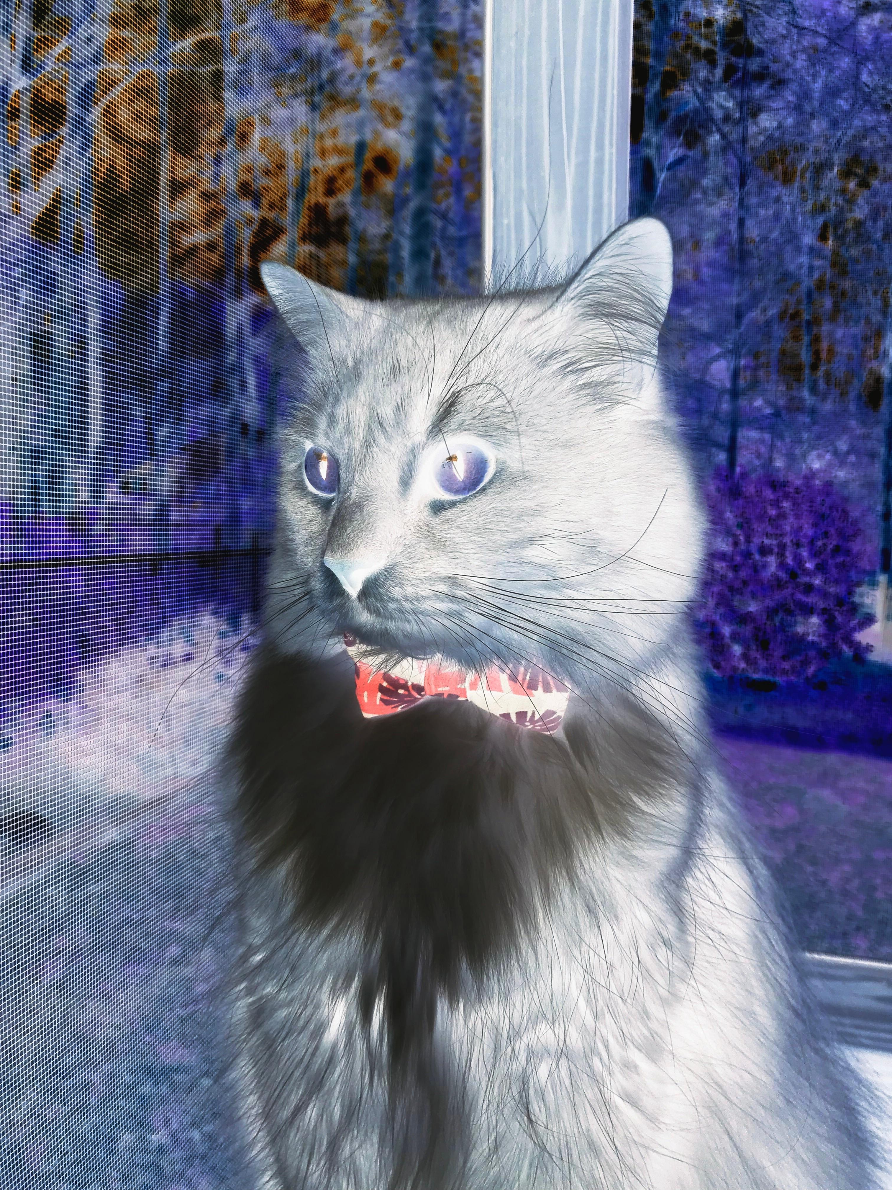 从深渊到巅峰，第三节克莱领域降临，步行者单节狂潮背后的救世主