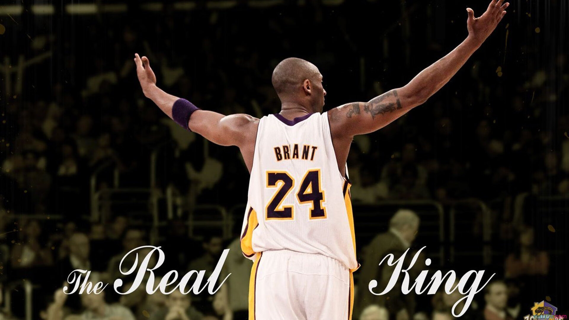 东方赛场，NBA巨星降临，欧文末节21分，广东绝境中逆转黄蜂