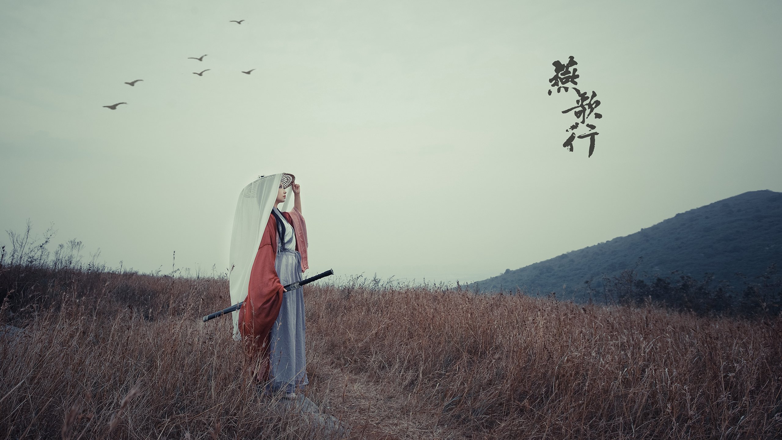 那个让世界排名重组的夜晚,塔图姆的34分钟终极审判