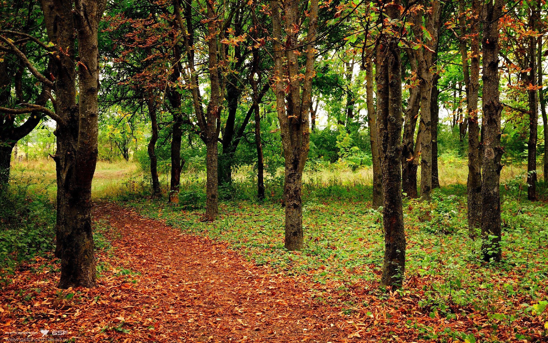火拼西部卡位战，太阳逆转鹈鹕一战，成命运分水岭与逆转悬念的鲜活注脚