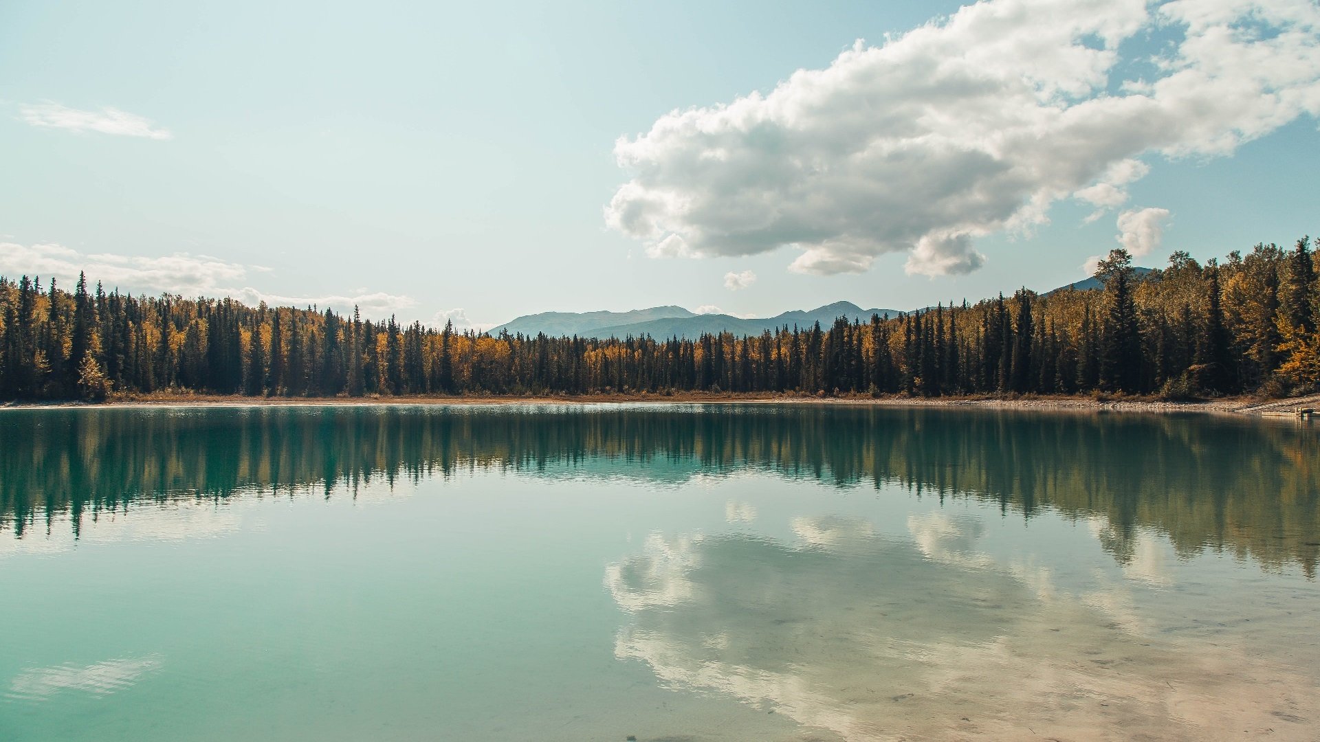 跨界焦点，意甲战火与森林狼踏平尼克斯的胜利交响