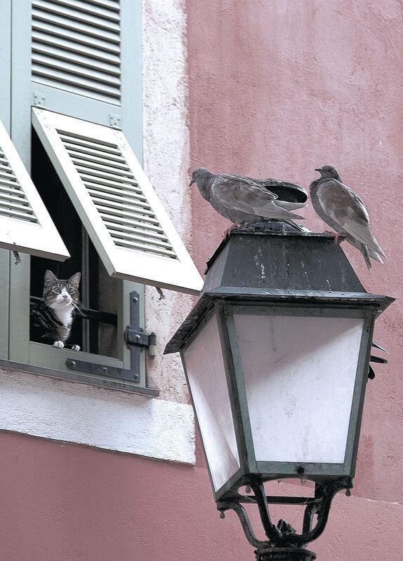 唯一性，当克莱·底特律首秀，便成了关键先生