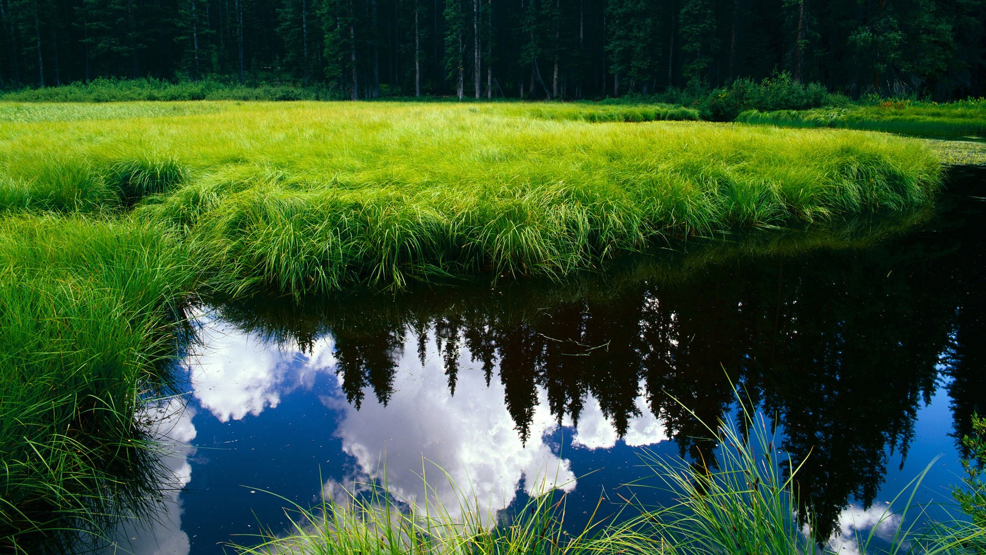 当法老的后裔为枪手欢呼，托尼满分之夜与阿森纳的埃及王朝