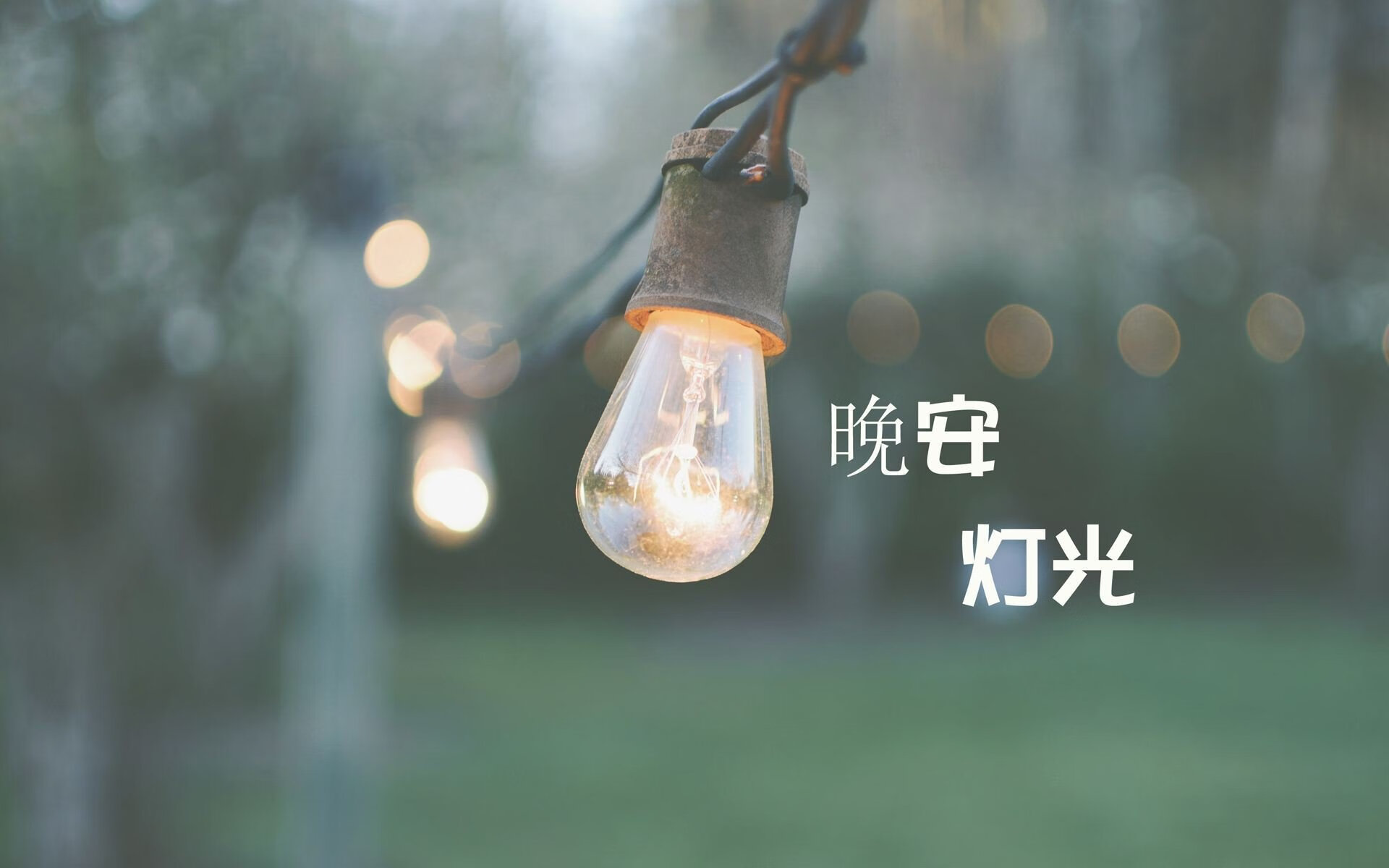 孤星破晓，2026世界杯C组强强对话，加维点亮哥伦比亚绝杀奥地利的战术史诗