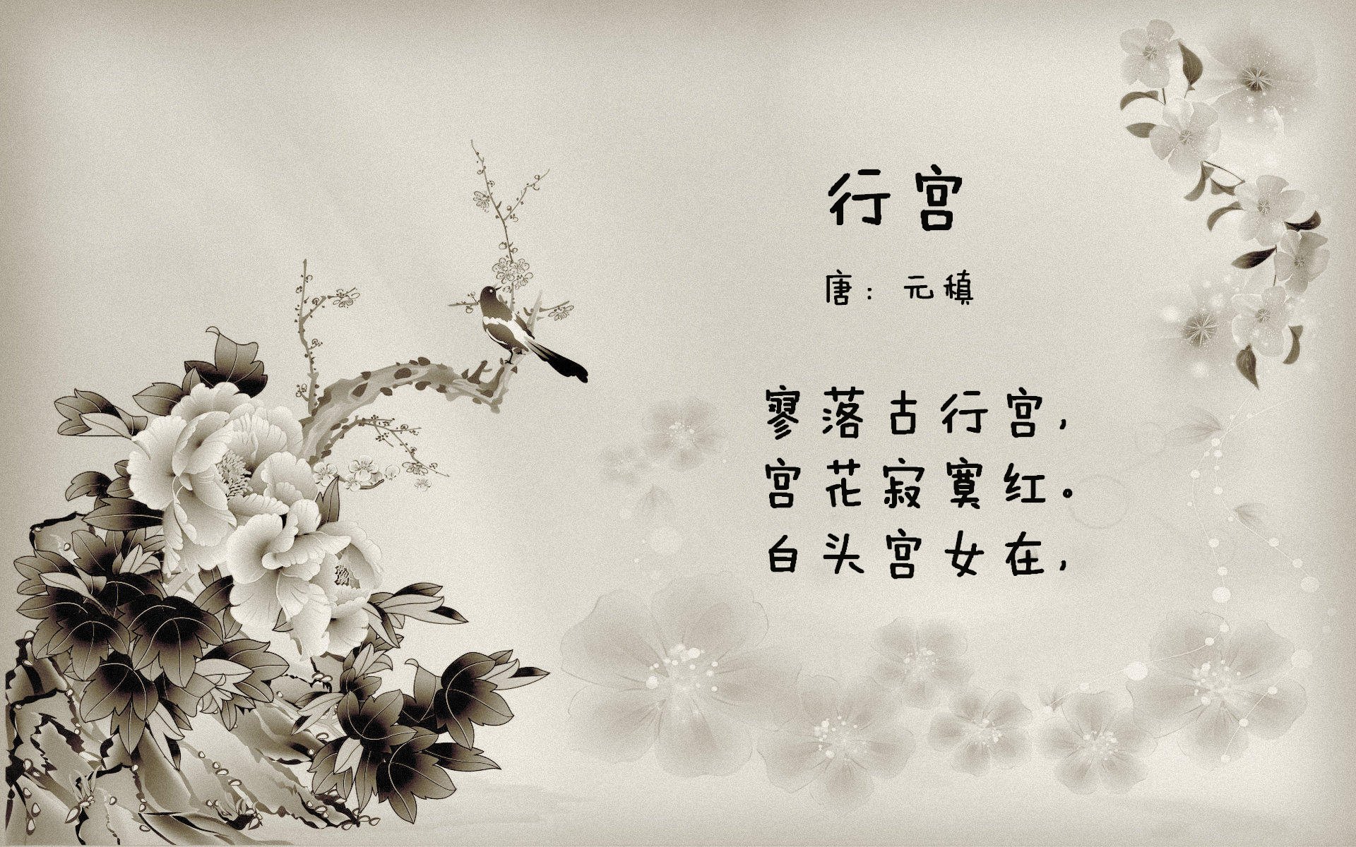 绝命一击,2026世界杯D组生死战,阿联酋逆转美国,萨内书写沙漠神话